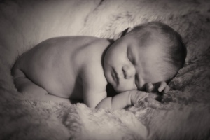 newborn sleeping, tamra horner photography